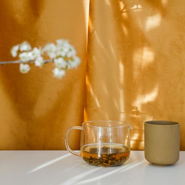 Glass of water and herbal tea for daily balance